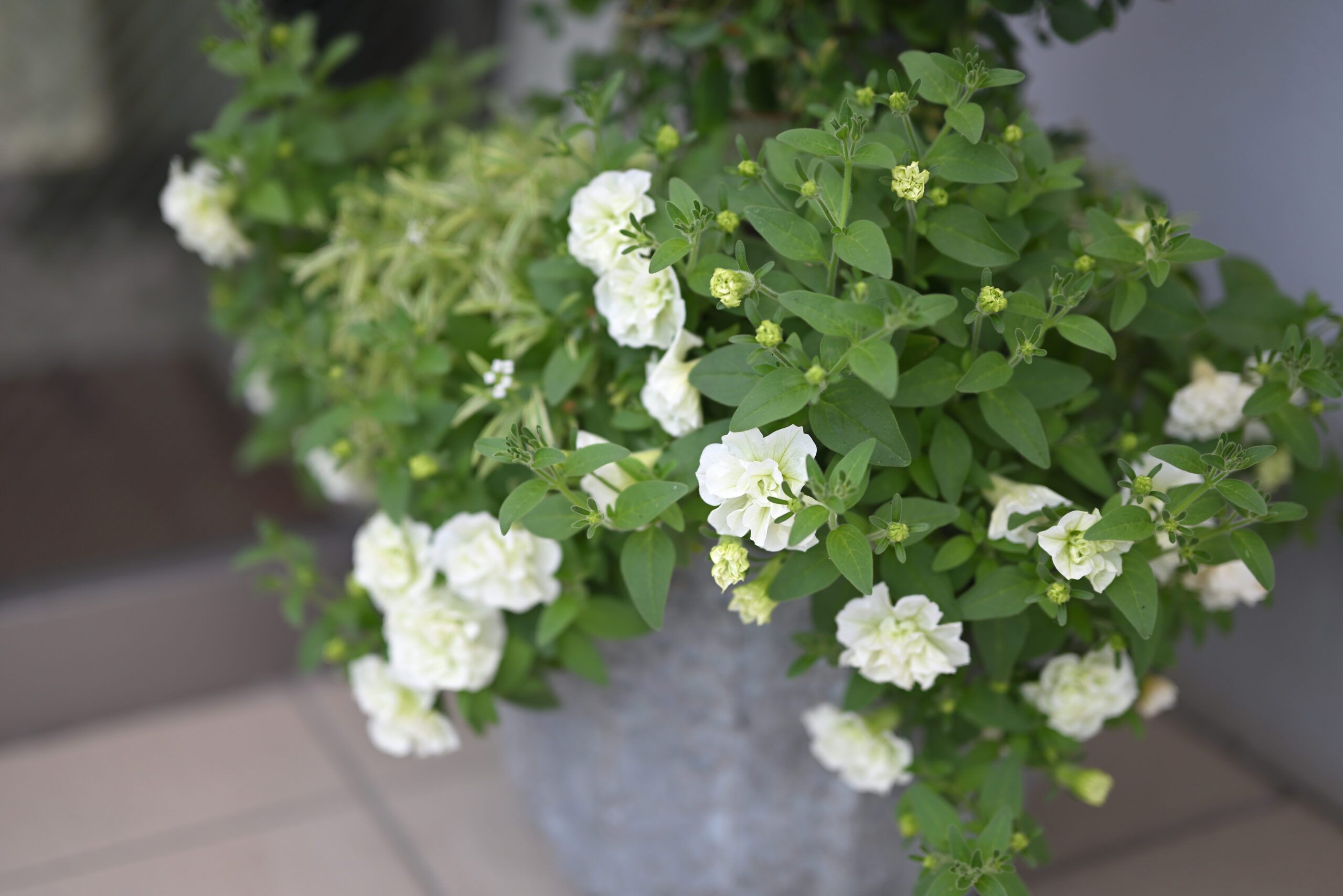 一人一人に寄り添う医療